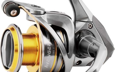 Best Spinning Reels on a Budget: Okuma Avenger vs. KastKing Centron